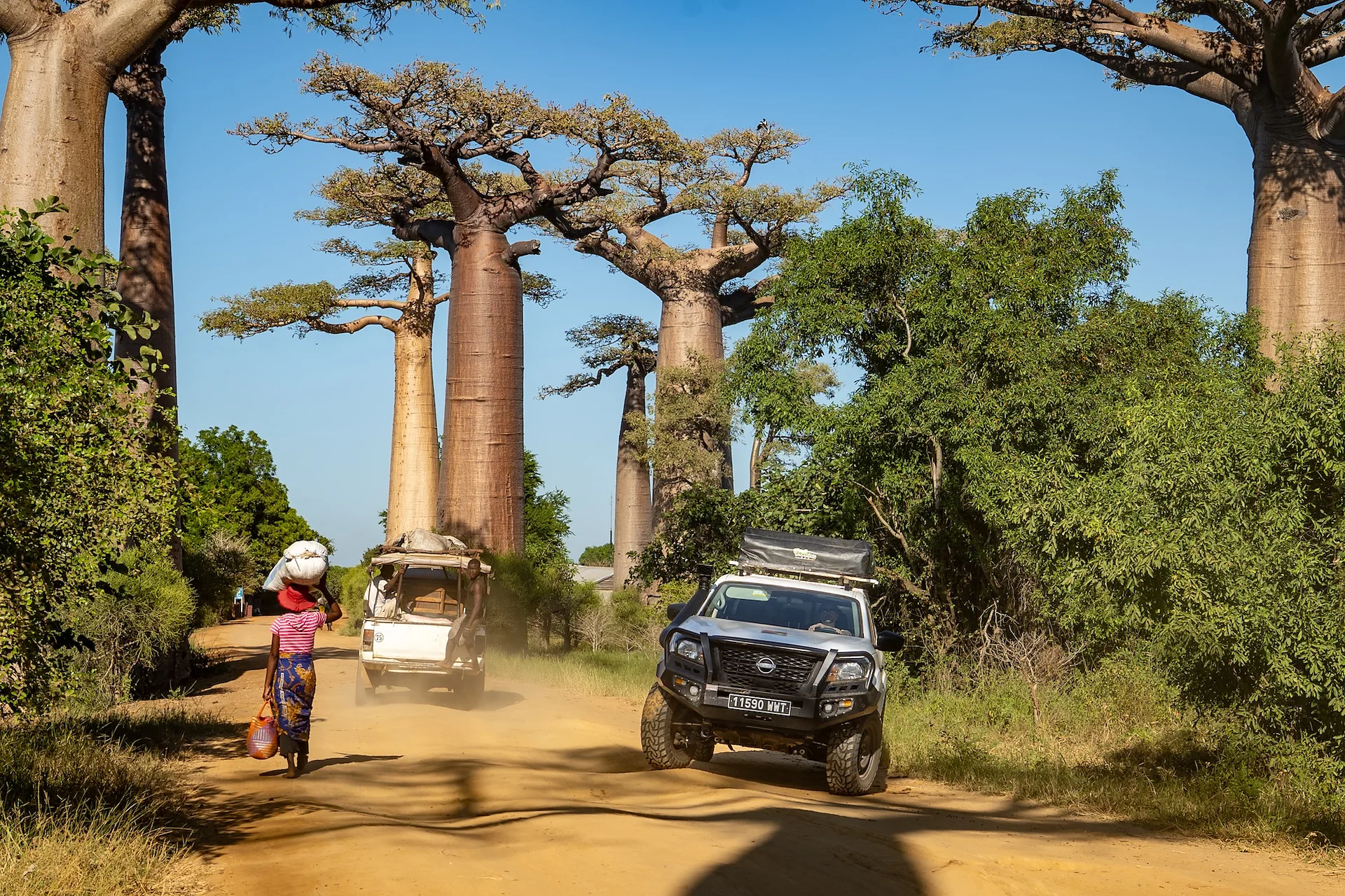 Viali dei Baobab al tramonto, strada sterrata circondata da alberi giganti